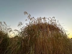 -良渚古城遗址公园