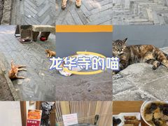 -龙华寺