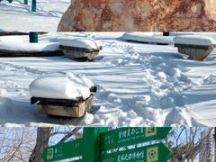 -长白岛森林公园