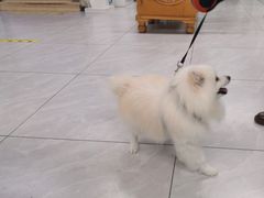 -达爱动物医院·犬猫分区·CT·复杂眼科(远洋山水分院)