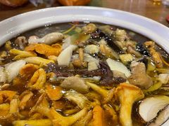 -杨记山珍鸡煲菌汤锅