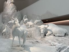 -中国湿地博物馆