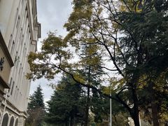 -云南师范大学(一二一西南联大校区)