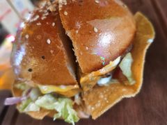 -Famous肥猫墨西哥音乐餐吧(五棵松华熙LIVE店)