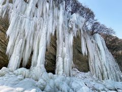 -少华山国家森林公园
