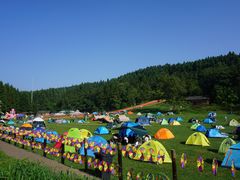 -武陵山森林公园