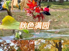 -青岛海滨风景区