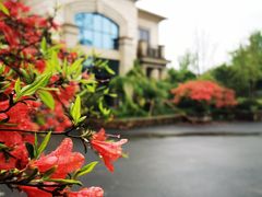 -杭州六谷生态休闲农庄有限公司