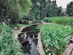 -成都市活水公园