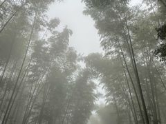 -蜀南竹海景区