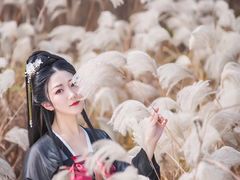 -梁鸿国家湿地公园