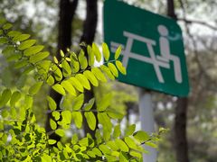 -鲁山国家森林公园