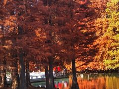 -白塘生态植物园