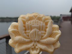 -白洋淀风景区