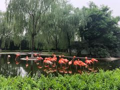 -石家庄市动物园