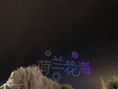 -荷兰花海