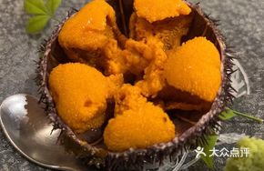 Japanese Sea Urchin