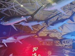 -烟台海昌鲸鲨海洋公园