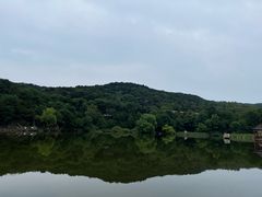 -鲁山国家森林公园