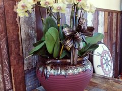 -啊噗吐呦现场烘焙(麦凯乐店)