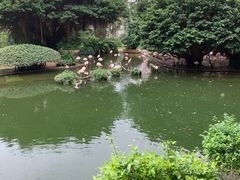 -九龙公园