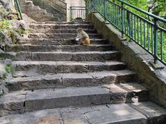 -黔灵山公园