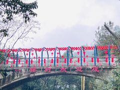 -南山植物园