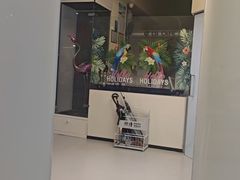 -立德异宠动物医院.兔鸟爬.内窥镜(天河店)
