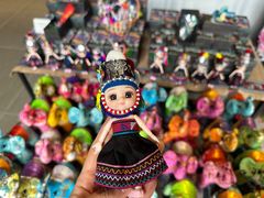 -西双版纳原始森林公园