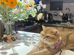 -想见你(咖啡·茶饮·甜品·江汉路店)