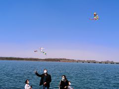 -丁香湖公园