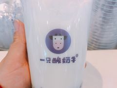 -一只酸奶牛(来福士店)