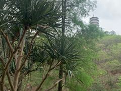 -深圳国际园林花卉博览园