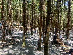 -重庆睡佛山森林公园