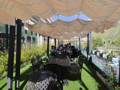 -玫瑰西餐厅.意面披萨.牛排咖啡