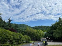 -杭州海华满陇度假酒店