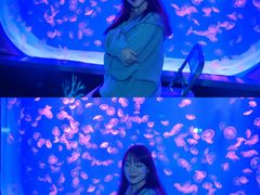 -沈阳海洋探索中心