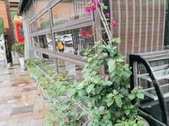 -先机泉水鸡汤(南山老君洞店)