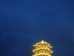-7号院家宴.烧鸽子(门头沟店)