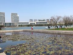 -尚贤河湿地