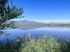 -野鸭湖国家湿地公园