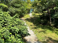 -莫子山公园