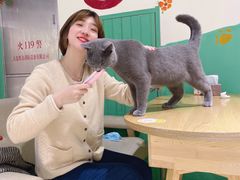 -藏猫猫咖啡主题馆(中央大道店)
