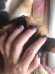 点击看大图 -LADYGIRL·Nail·Lash·美甲美睫