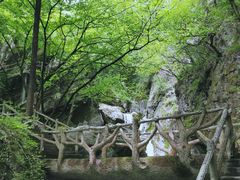 -牛背梁国家森林公园