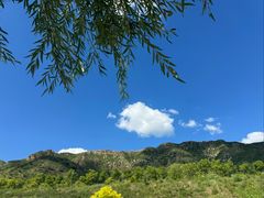 -桑干河大峡谷旅游区