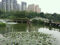 -三圣花乡旅游区