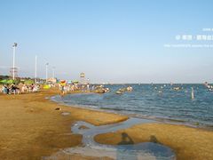 -碧海金沙