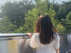 -千岛湖天屿景区