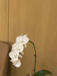 -广东韩妃整形外科医院